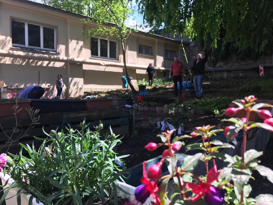 Wuppertal Cemevi, ‘Barış Bahçesi’ kurarak fidan ekti