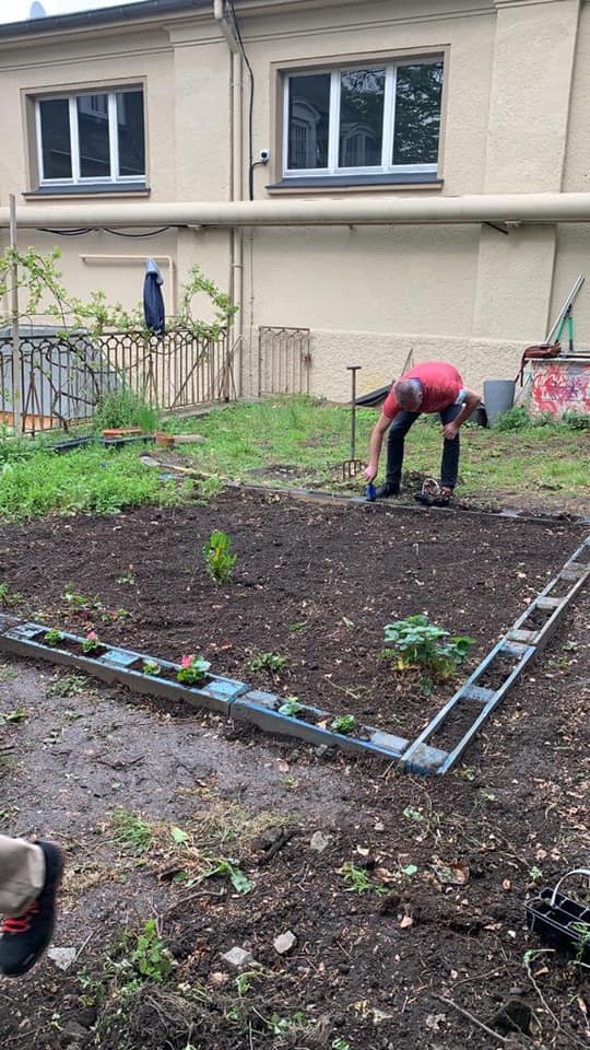 Wuppertal Cemevi, ‘Barış Bahçesi’ kurarak fidan ekti