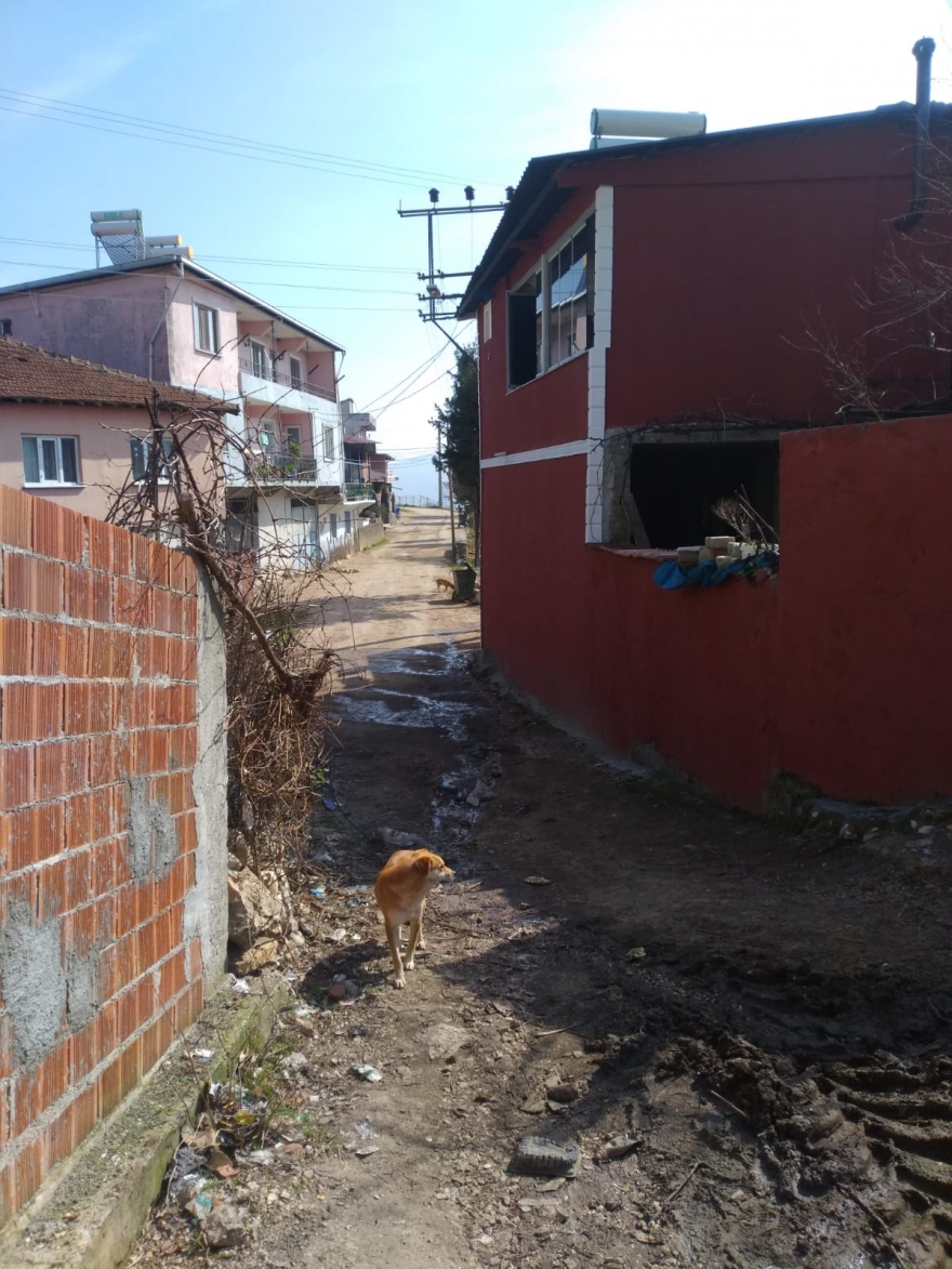 Alevi köyü Taşpınar’a hala hizmet yok; yola toprak döküp gittiler!